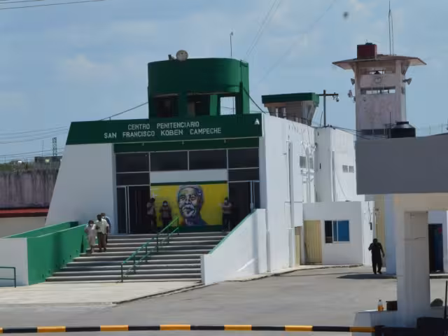 Aseguran que el producto tiene demanda