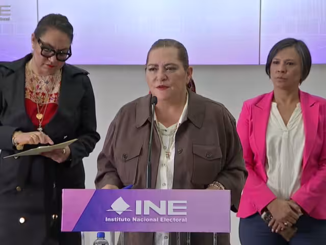 Guadalupe Taddei Zavala, consejera presidenta del Instituto Nacional Electoral (INE)