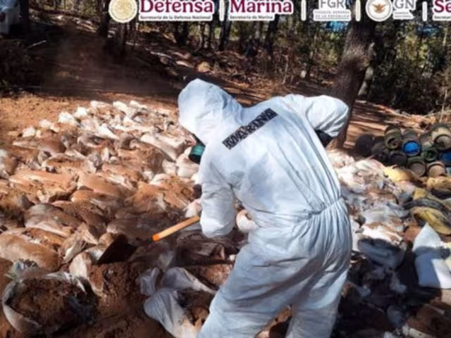 El operativo fue realizado por personal de Infantería de Marina en coordinación con el Gabinete de Seguridad