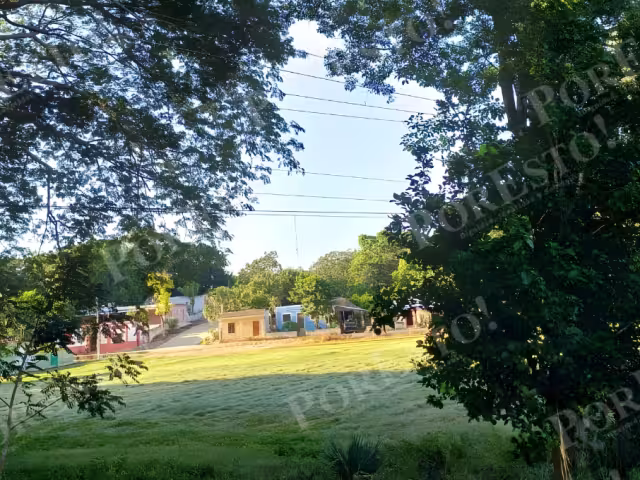 Habitantes denuncian que la CFE no ha atendido el problema pese al riesgo de un accidente o apagón en la región de Los Chenes.