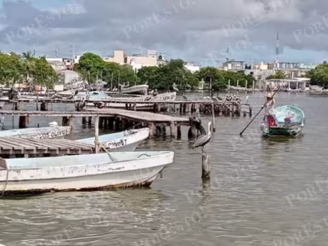 PACMA reactiva entregas en El Carmen: aumentan apoyo anual a 23 millones