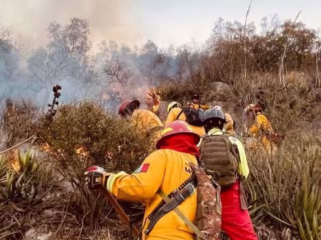 Las brigadas trabajan de manera coordinada para evaluar y extinguir los llamados "puntos calientes"