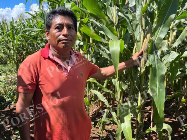 Campesinos de Hopelchén se sumarán a una protesta pacífica el lunes 3 de noviembre en la capital del estado.