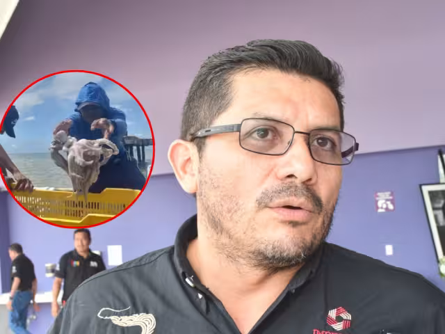 El director del Inpesca Campeche pidió a los pescadores denunciar robos de herramientas y captura ilegal de pulpo maya.
