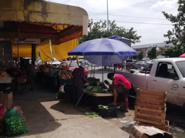 El robo hormiga provoca fuertes pérdidas económicas en los comercios semifijos del mercado Lázaro Cárdenas