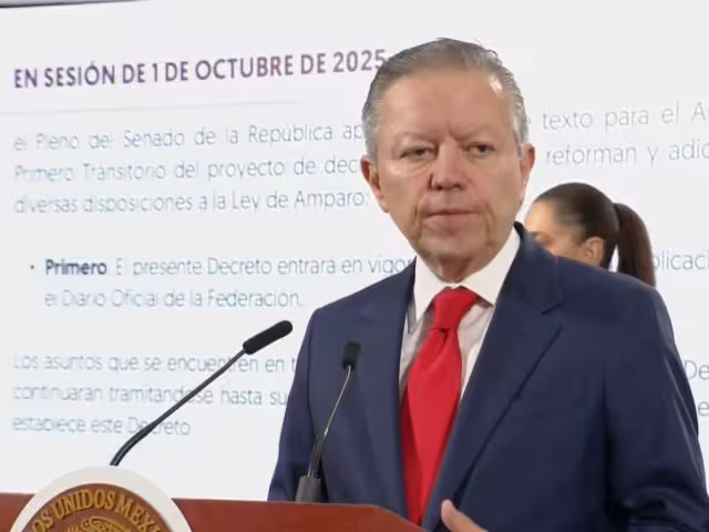Arturo Zaldívar lelo de Larrea, Coordinador General de Política y Gobierno de la Presidencia de México