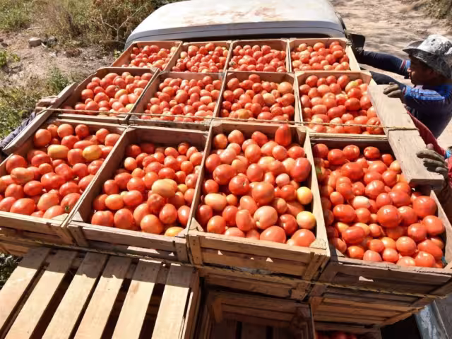 El secretario de Economía, Marcelo Ebrard, advirtió que este arancel tendrá una repercusión inmediata en el mercado interno estadounidense