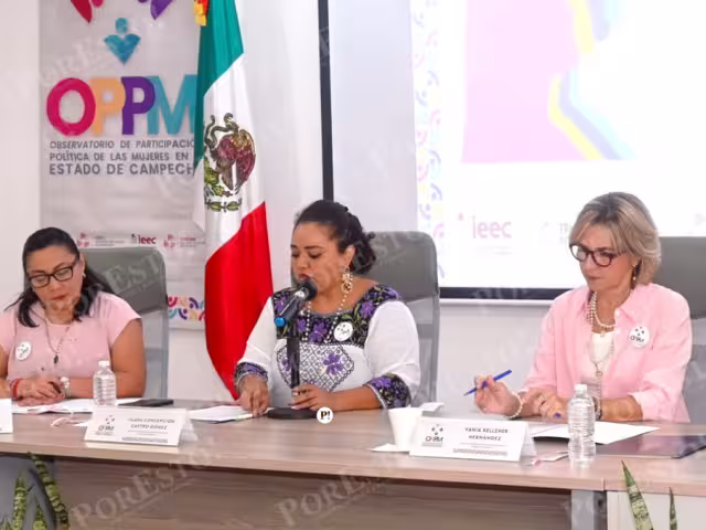 Consulta Infantil y agenda electoral destacan en informe del Observatorio