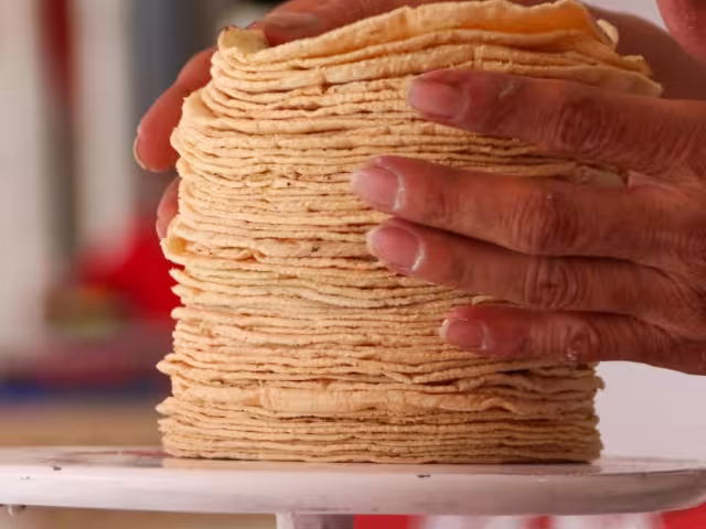 El acuerdo busca reducir la cadena de intermediarios entre los productores de maíz y los procesadores de harina