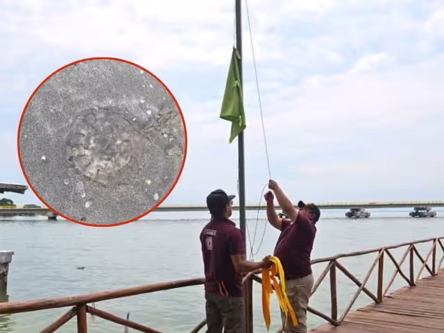 La presencia de “agua mala” llevó a Protección Civil a colocar banderas preventivas en la Playa Inclusiva de la Puntilla, Ciudad del Carmen