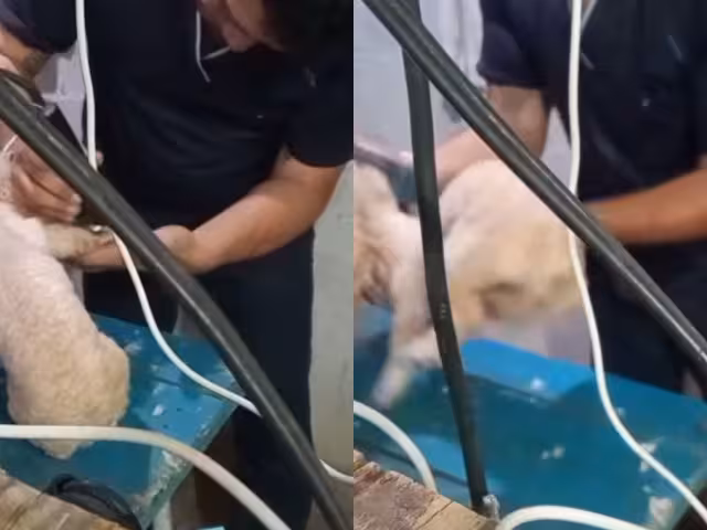 El establecimiento señaló que después del percance los cortes fueron cancelados