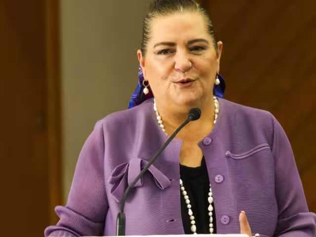 Guadalupe Taddei Zavala, consejera presidenta del Instituto Nacional Electoral (INE)