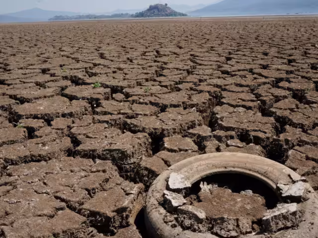 México experimentó una de las sequías más intensas a nivel global en 2023