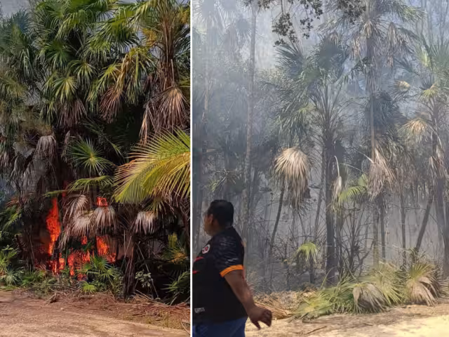 Un incendio forestal afectó cerca de media hectárea en la Reserva de la Biósfera de Sian Ka’an, Tulum.