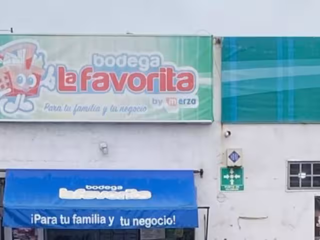 Trabajadores denuncia hostigamiento laboral y malos tratos en Chetumal