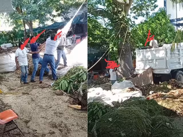 Trabajadores de jardinería de la UNACAR denunciaron abusos laborales al ser obligados a realizar labores pesadas sin equipo ni herramientas adecuadas