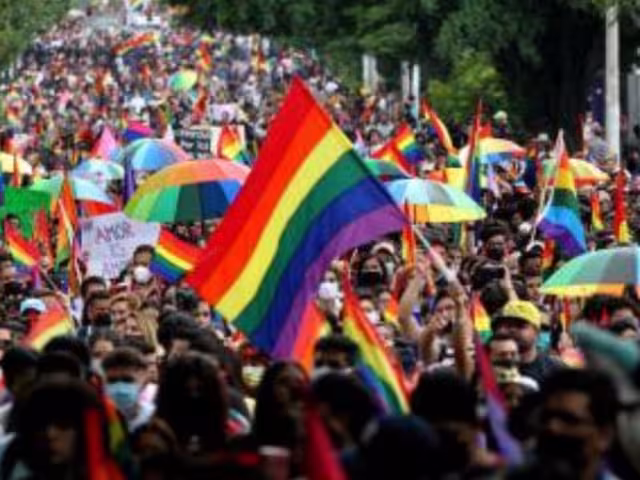 Organismos e instituciones especializadas en salud mental han coincidido al señalar que la homosexualidad no es un trastorno ni una enfermedad física o de la mente