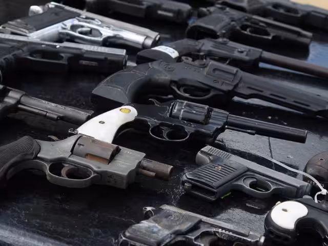 Se establece que la Secretaría de la Defensa Nacional será la encargada de autorizar el uso de armas