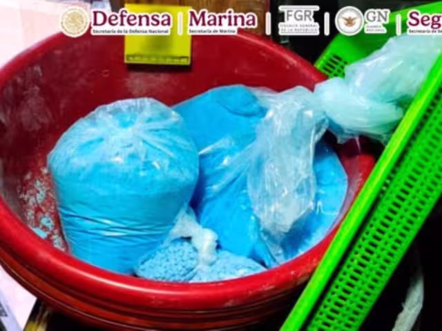 Este cateo representa un nuevo golpe estratégico contra el narcotráfico