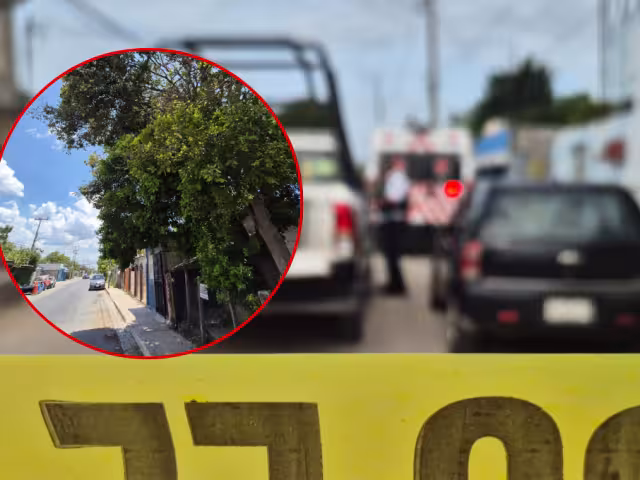 Hombre muere tras caer de un árbol en Santo Domingo Kesté, Champotón