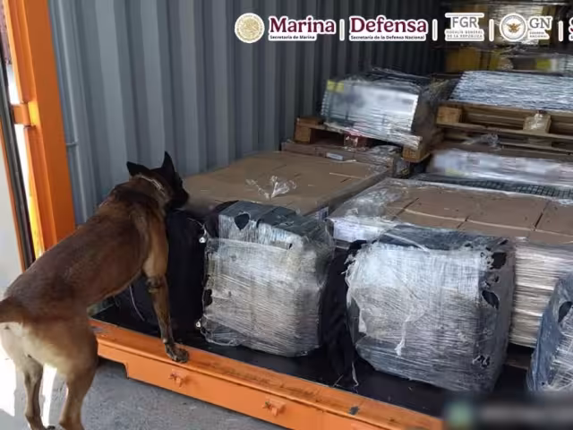 Con el apoyo de un ejemplar canino, se procedió a revisar dos contenedores que acababan de ser descargados de un buque