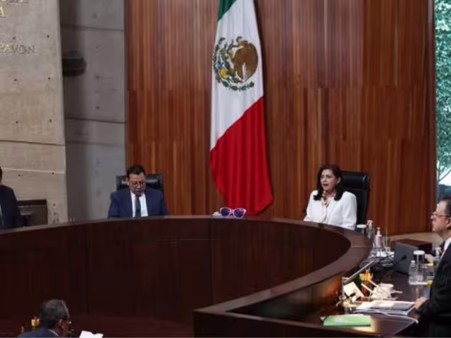 Sala Superior del Tribunal Electoral del Poder Judicial de la Federaciuón  (TEPJF)