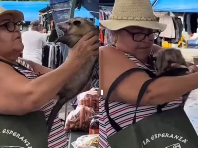 La ex integrante del reconocido programa presentó a su mascota en abril de este año