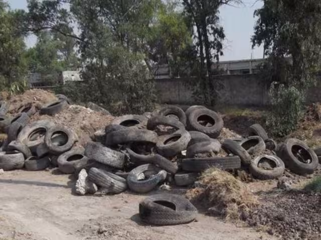 Ciudadanos denuncian el aumento de tiraderos de neumáticos viejos en Chetumal, ya que representan riesgos sanitarios