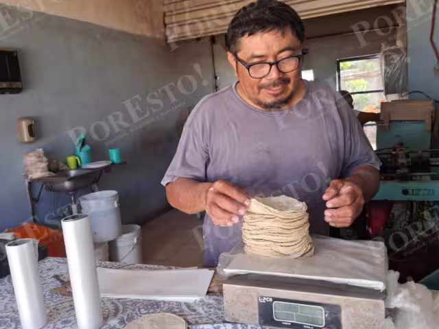 Productores y molineros temen alza en el precio de la tortilla por aumento del maíz