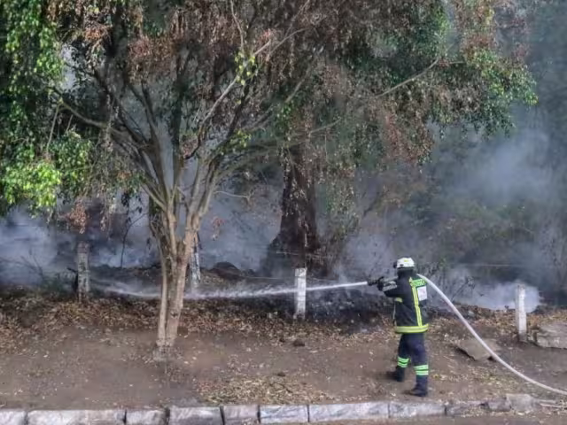 La acción coordinada permitió detener la expansión del fuego que afectó un estimado de mil 760 hectáreas