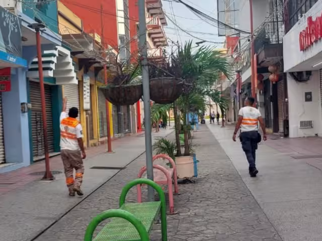 Sismo en Chiapas y Oaxaca sintieron la mañana de este domingo un fuerte sismo magnitud 6.6; se descarta alerta de tsunami