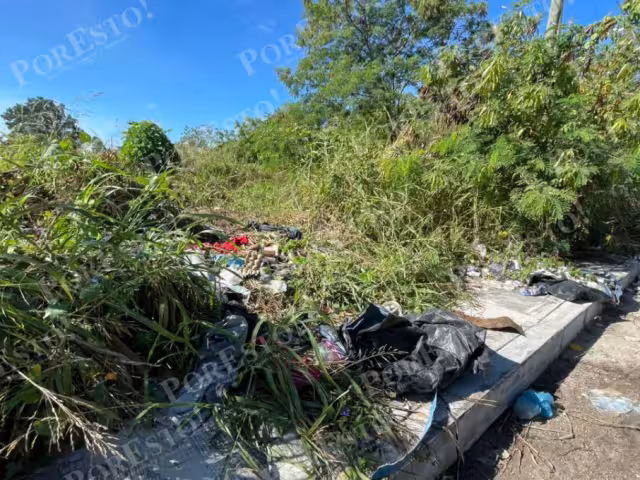 Lote baldío genera malestar en colonia; vecinos piden acción al Ayuntamiento
