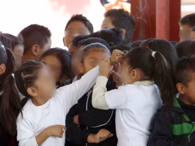 Castigar no basta: expertos piden atender causas del acoso