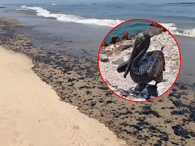 Activistas califican el derrame petrolero en Tabasco como grave y culpan a la falta de mantenimiento en Pemex.