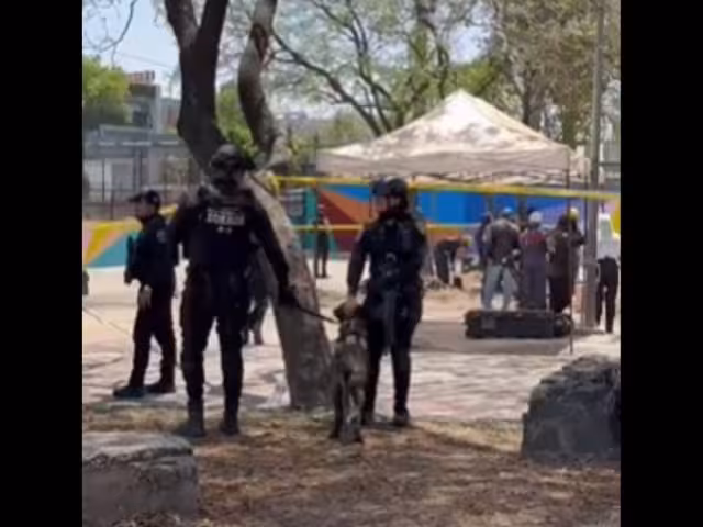 El análisis forense está siendo llevado a cabo por el Instituto de Ciencias Forenses de la Ciudad de México (INCIFO)