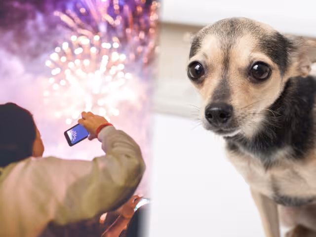 Fiestas patrias y ferias de San Román y San Francisco incrementan el uso de pirotecnia en Campeche.