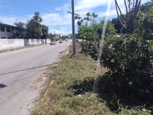 Cableado de CFE es un peligro para vecinos de Playa del Carmen