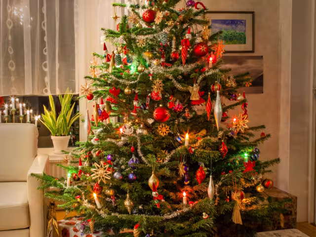El Árbol de Navidad Hoy