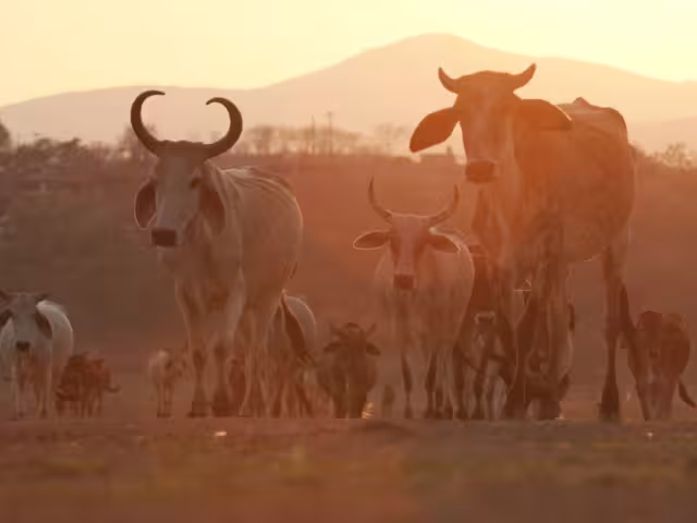 El monitoreo y el combate al medio de contagio son esenciales para una estrategia efectiva