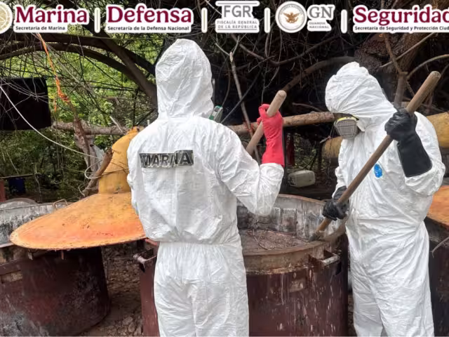 Estimaciones oficiales señalan que este aseguramiento representa una afectación económica de al menos 81 millones de pesos