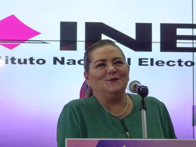 Guadalupe Taddei Zavala, consejera presidenta del INE