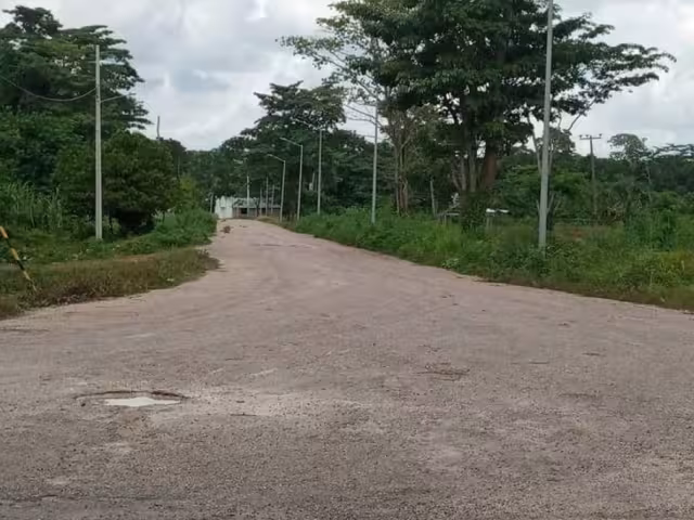 Doña Carolina descubre que su perro fue herido con una escopeta por su vecino Ezequiel, alias "El Cheques"