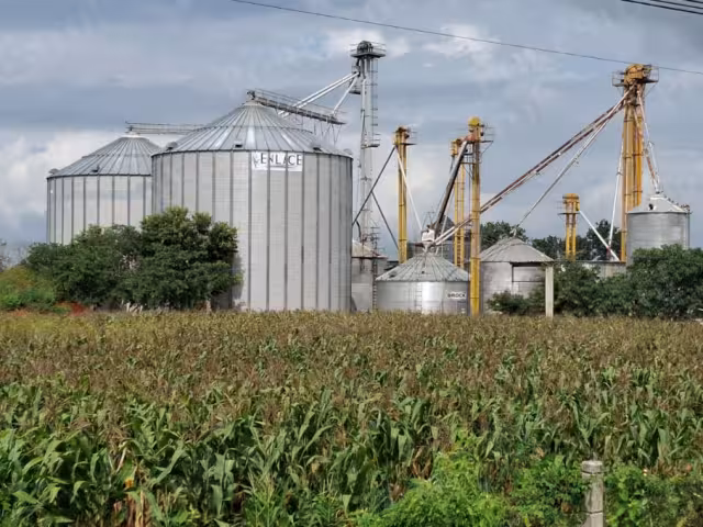 Campesinos de Hecelchakán exigen precio justo por el maíz ante abandono oficial