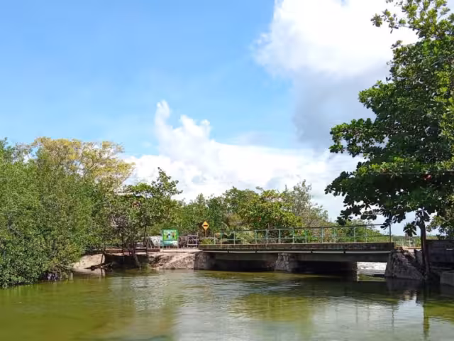 Raudales reporta casos de enfermedades gastrointestinales por ingesta de agua contaminada del río