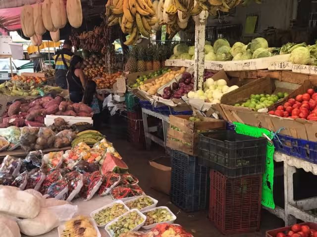 Una discusión subió de tono, hasta que una de las personas terminó herido en la espalda en una verdulería en Cancún