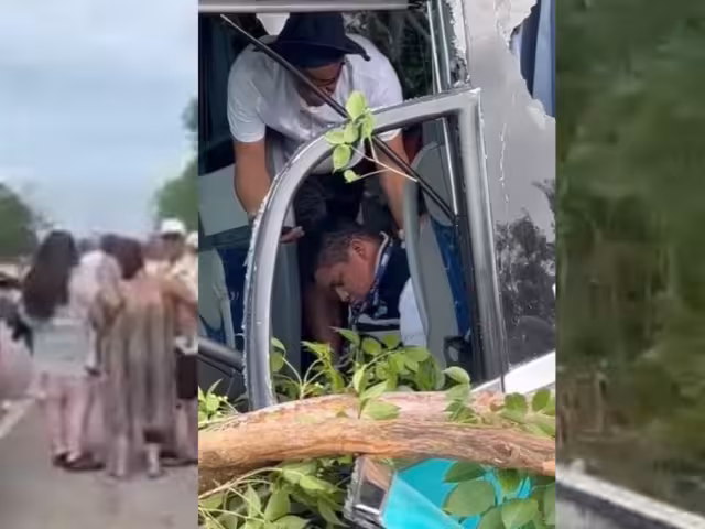 El accidente se registró a la altura del Tintal, comunidad de Quintana Roo