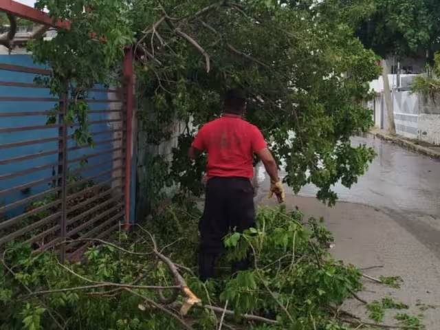 Se contabilizaron 29 reportes de emergencia