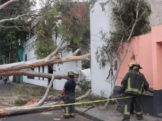 Se espera que los vientos más intensos se presenten entre las 13:00 y las 20:00 horas.