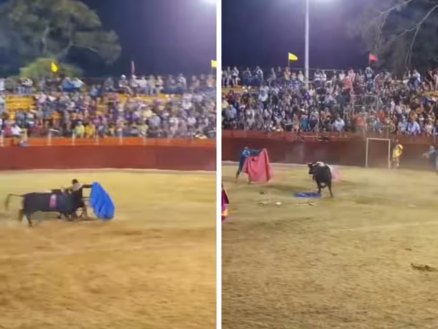 Feria de Tinún en vilo: Jussef Hernández sufre grave herida por toro en pleno duelo