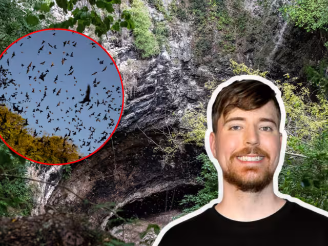 Dentro del Volcán de los Murciélagos en Campeche; el sitio prohibido que Mr. Beast no pudo visitar